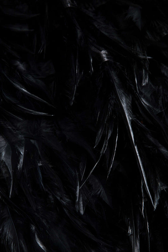 Feather V-Neck Bow Sleeveless Mini Dress 