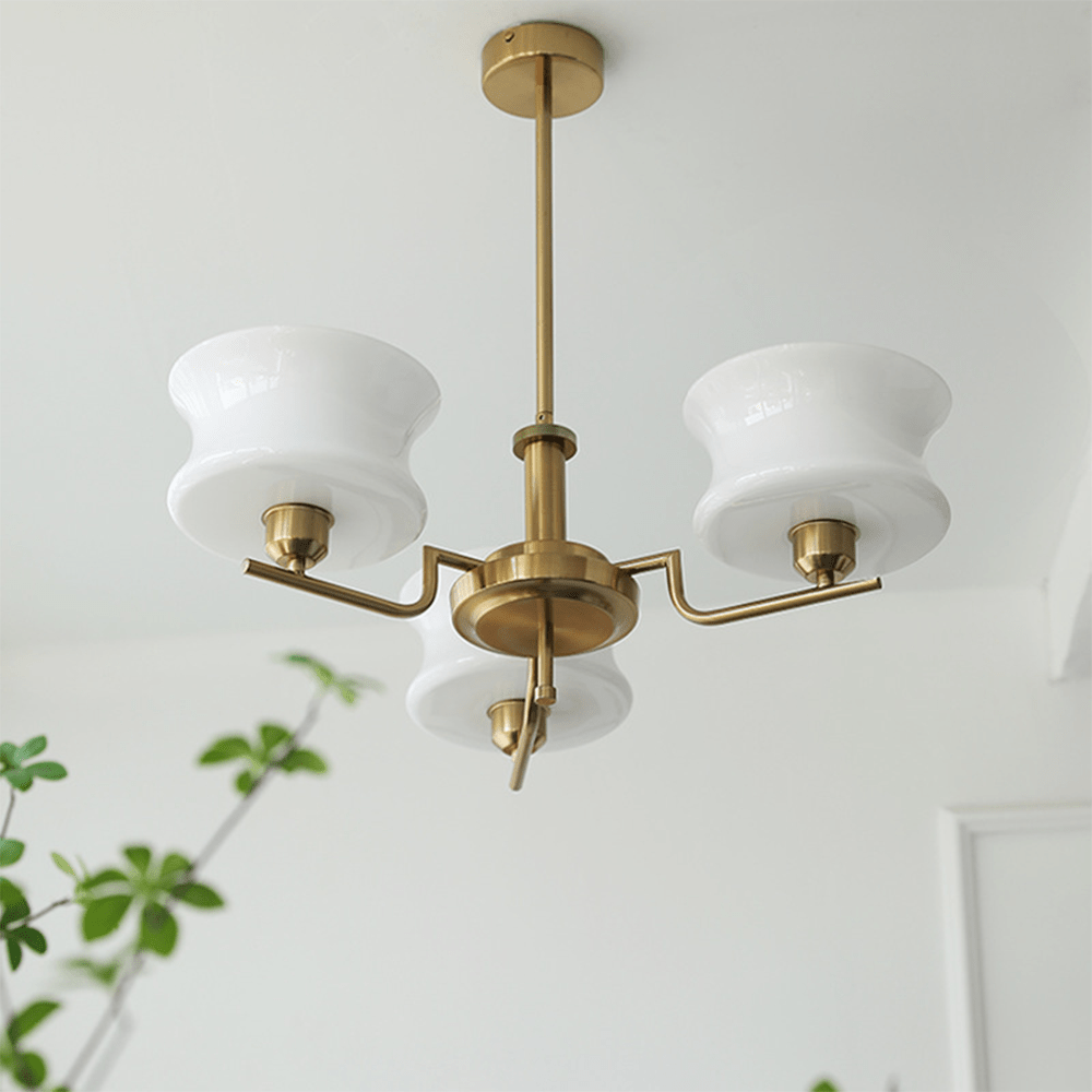 Beautiful chandelier for dining room