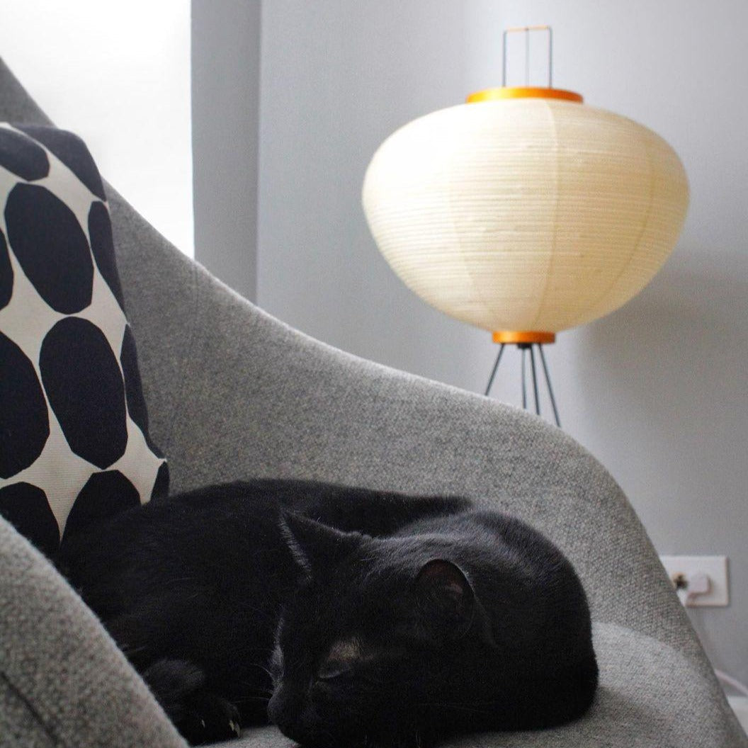 Rice Paper Floor Lamp