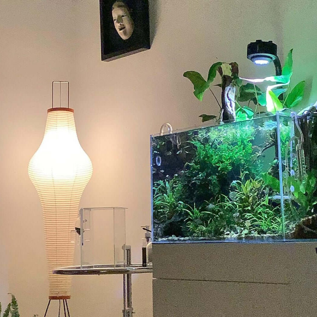 Rice Paper Floor Lamp