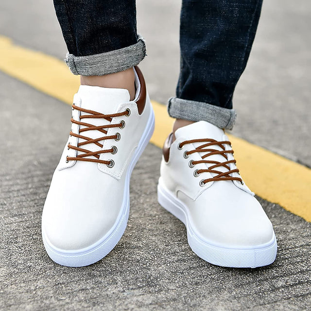 Palto | Urban Sneaker | Trendy, Comfortable and Sustainable