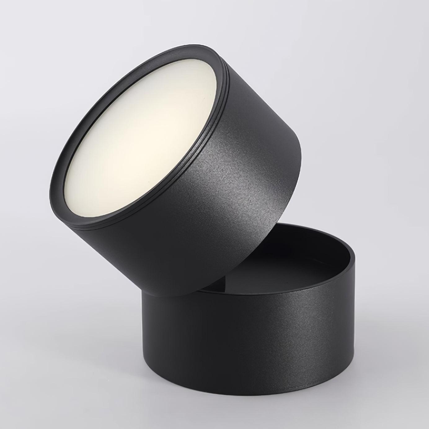 Adjustable LED Ceiling Spotlight Lamp for Artwork & Accent Lighting | Rotatable Surface Mount | Warm White 3000K | Aluminum 10cm