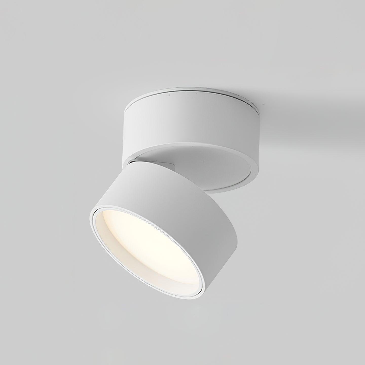 Adjustable LED Ceiling Spotlight Lamp for Artwork & Accent Lighting | Rotatable Surface Mount | Warm White 3000K | Aluminum 10cm