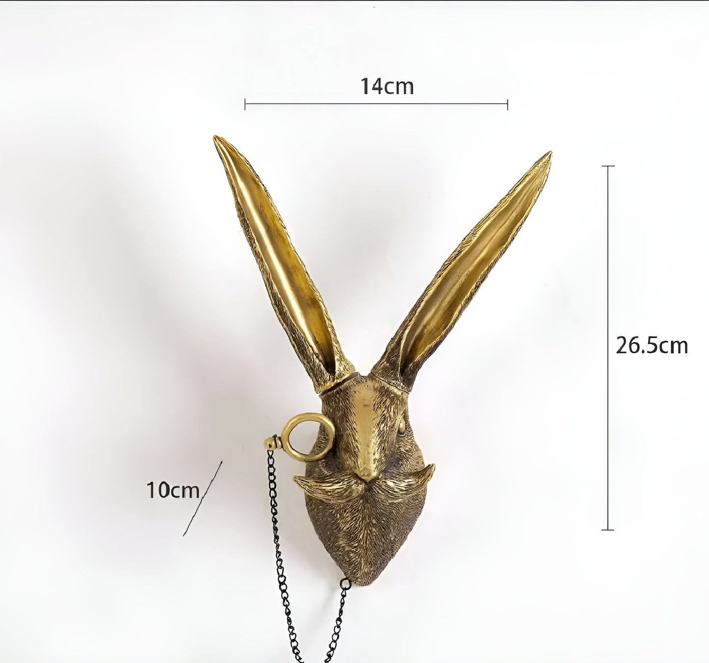 Golden Head | Multifunctional Wall Hook – Decorative Wall Storage