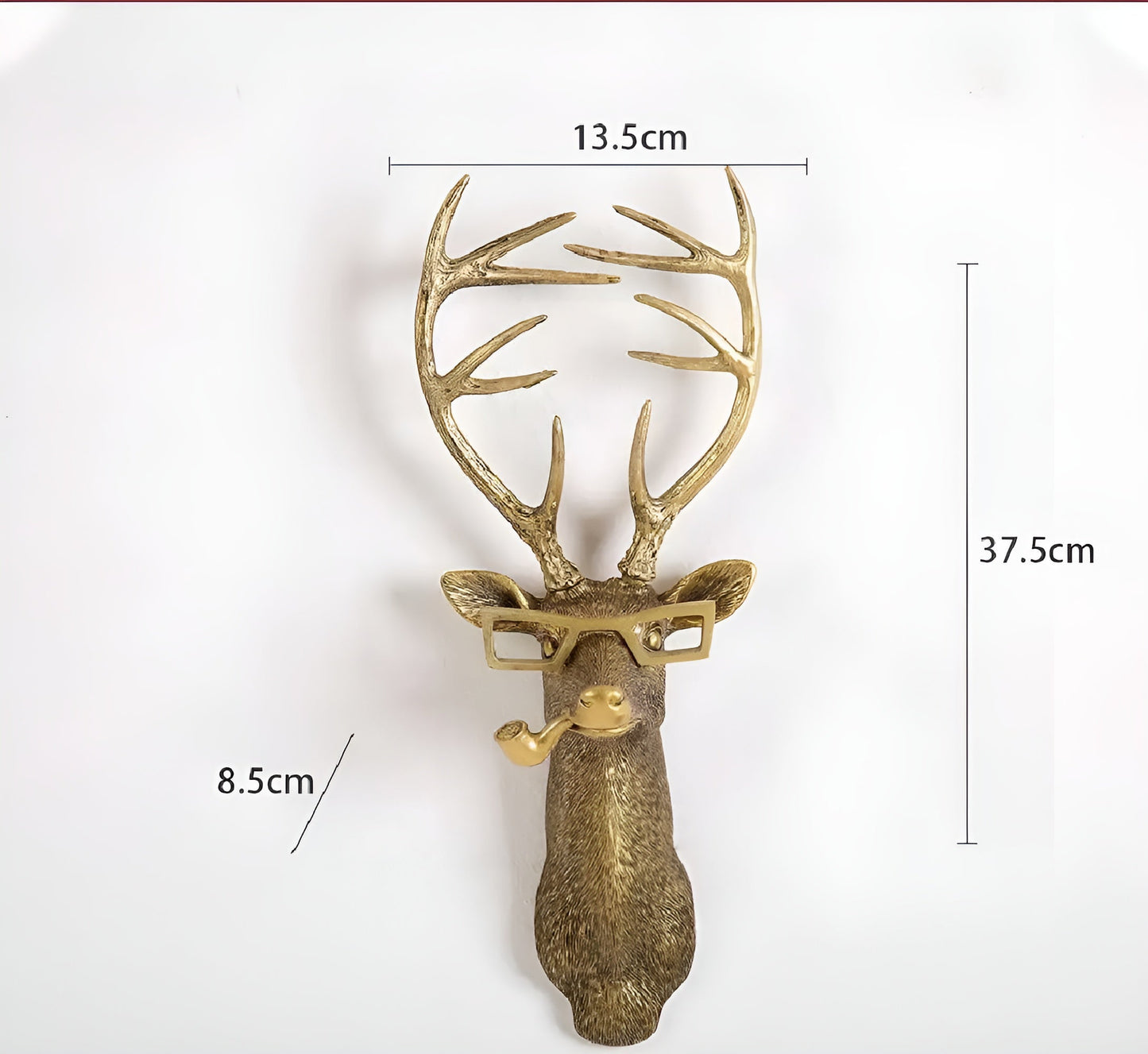 Golden Head | Multifunctional Wall Hook – Decorative Wall Storage