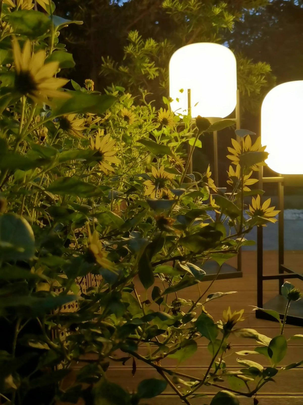 Solar Outdoor Floor Lamp Lantern | Stainless Steel Garden Light | IP65 Waterproof LED | Automatic Dusk-to-Dawn Lighting
