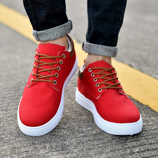 Palto | Urban Sneaker | Trendy, Comfortable and Sustainable