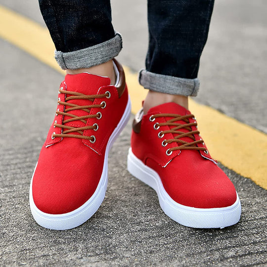 Palto | Urban Sneaker | Trendy, Comfortable and Sustainable