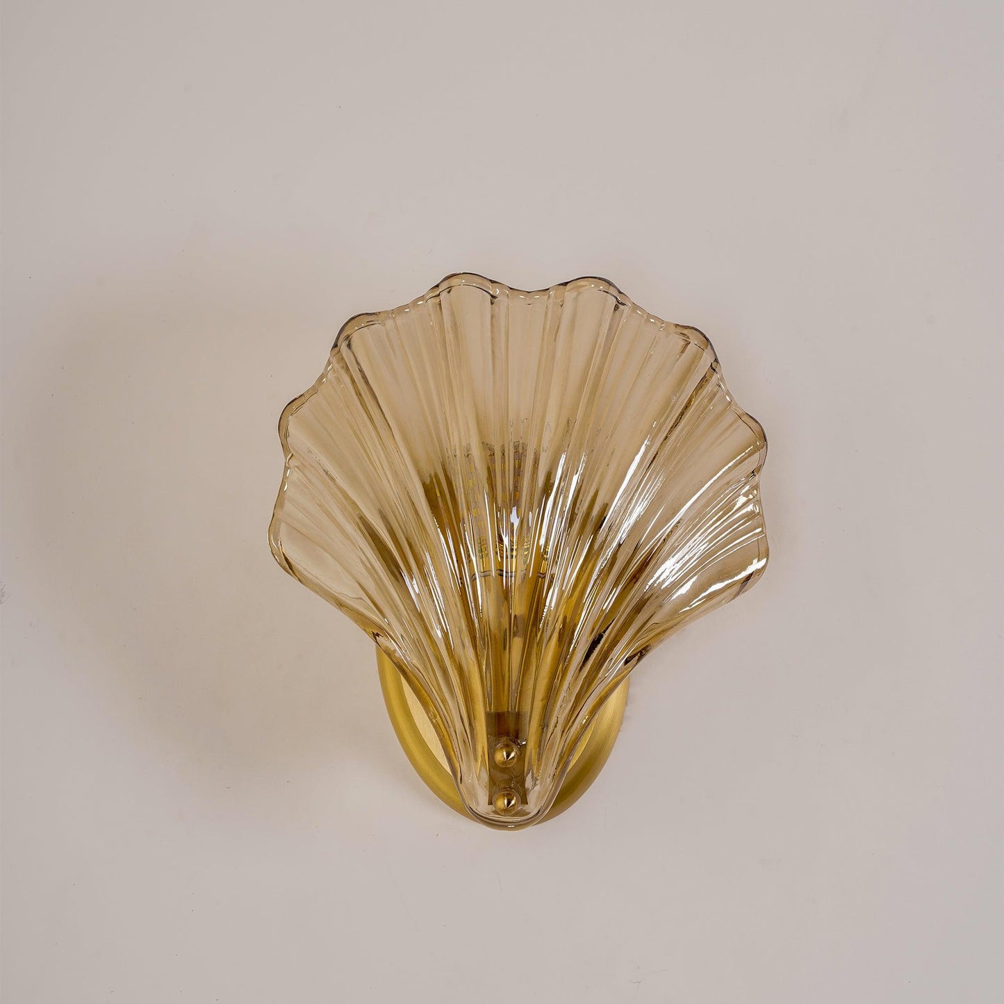 Coastal Shell Wall Light for Bedroom & Living Room | Brass Glass Nautical Wall Lamp | E14 LED or Edison Bulb | 20cm