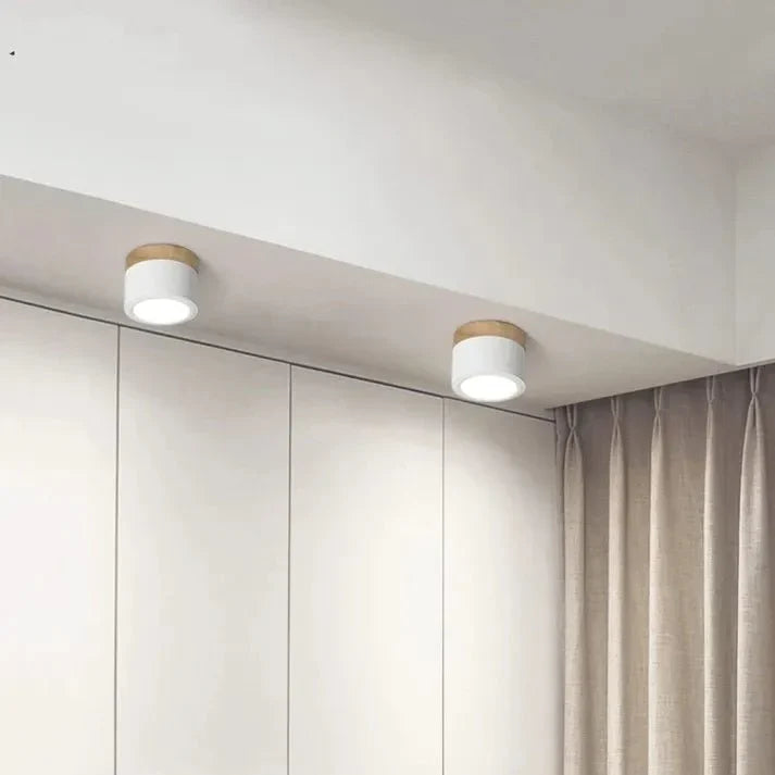 Nordic Cylinder LED Ceiling Lamps for Hallways