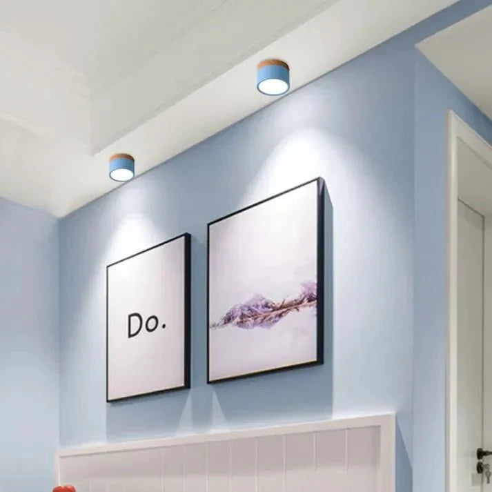 Nordic Cylinder LED Ceiling Lamps for Hallways