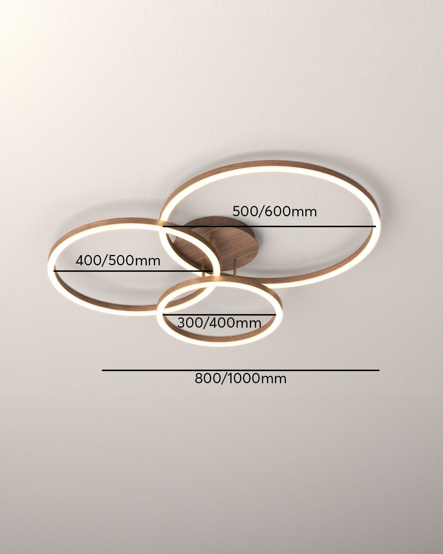 Elegant Ring Ceiling Fixture
