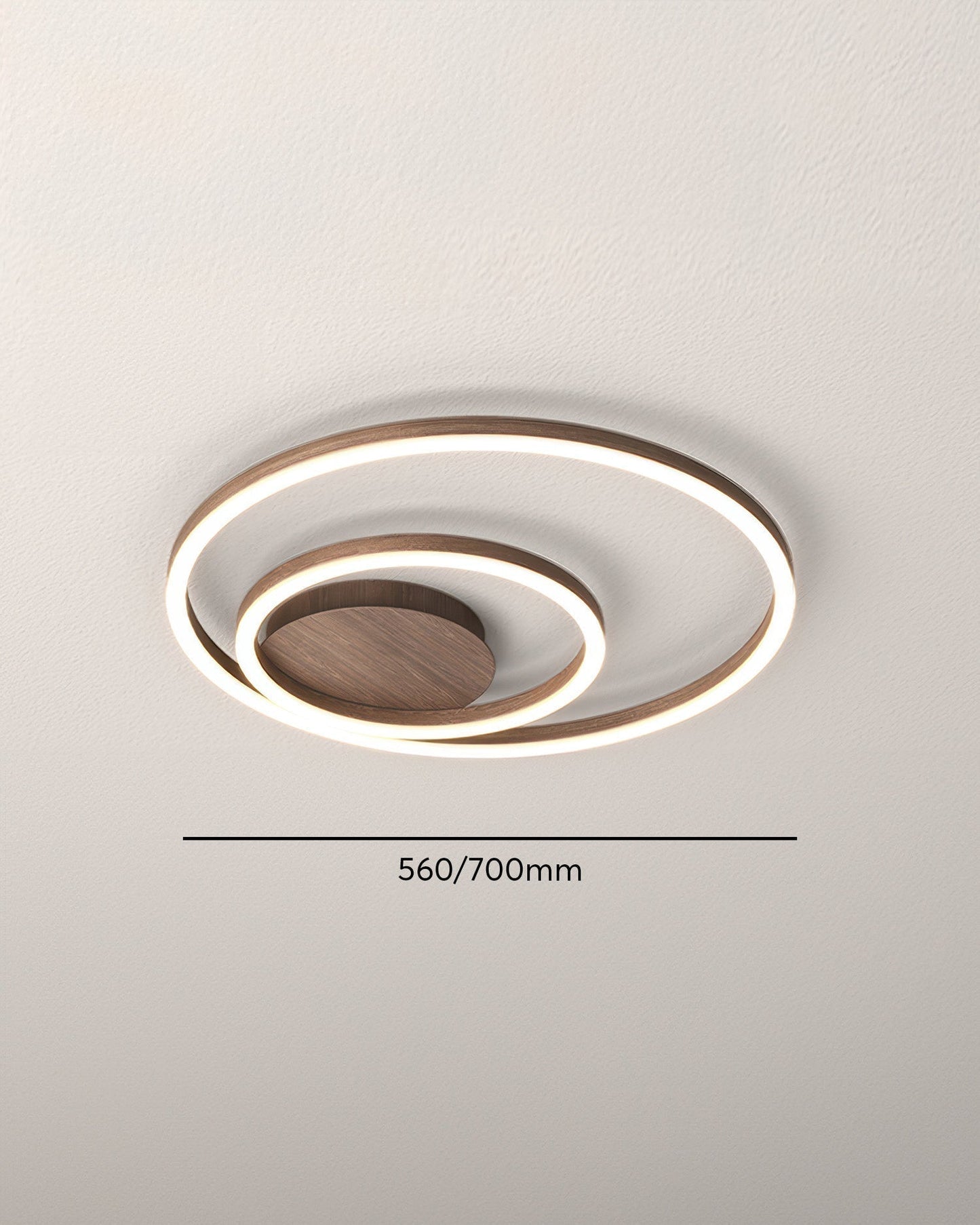 Elegant Ring Ceiling Fixture