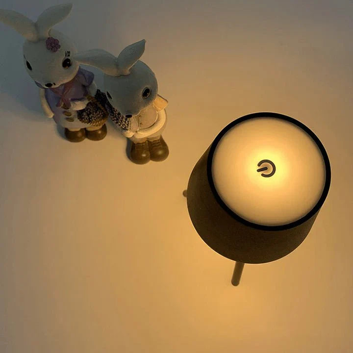 Rechargeable Table Lamp on Stand